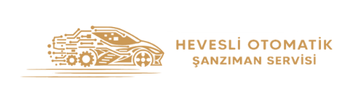 HEVESLİ OTOMATİK ŞANZIMAN