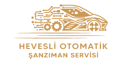 HEVESLİ OTOMATİK ŞANZIMAN